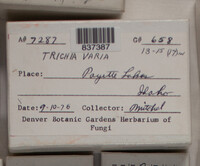 Image Associated With the Occurence